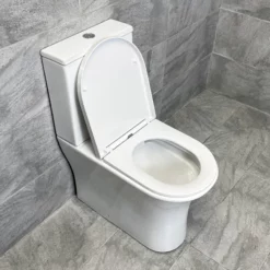 Slimline D Shaped Soft Close Toilet Seat Fits Molly Melissa Cam Christie WC -Comparethebathroom Shop Cameron Closed Compare 4 jpg webp 1