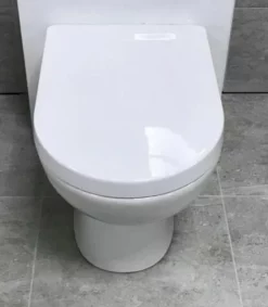 Choice Of 3 Back To Wall Pan Toilet WC + Soft Close Seat + Optional Cistern 24 Choice Of 3 Back To Wall Pan Toilet WC + Soft Close Seat + Optional Cistern -Comparethebathroom Shop ELLIE Beautiful D shape Style Back To Wall Pan Toilet WC Soft Close Seat 324539028038 2 jpg webp