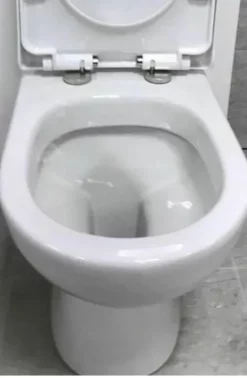 Choice Of 3 Back To Wall Pan Toilet WC + Soft Close Seat + Optional Cistern 26 Choice Of 3 Back To Wall Pan Toilet WC + Soft Close Seat + Optional Cistern -Comparethebathroom Shop ELLIE Beautiful D shape Style Back To Wall Pan Toilet WC Soft Close Seat 324539028038 4 jpg webp