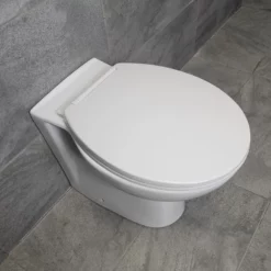 Georgina Round Back To Wall Toilet Pan With Soft Close Seat -Comparethebathroom Shop Georgia Std Round BTW Pan BH 21 Overview jpg webp