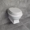 Greenwood Wall Hung Toilet Pan Traditional Design + Optional Concealed Cistern -Comparethebathroom Shop Greenhall wallhung main jpg webp