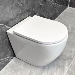 Holly Back To Wall White WC Bathroom Modern Toilet Pan Inc. Soft Close Seat