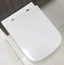 Rak Series 600 Soft Close Toilet Seat Quick Release Genuine Rak Toilet Seat -Comparethebathroom Shop RAK SLIMLINE SERIES 600 SEAT RAKSEAT014 3 SEP 18jpg