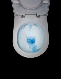 RAK Resort Extended Height Tall Rimless Back To Wall Toilet WC Pan 45cm -Comparethebathroom Shop Rak Resort Rimless Maxi Comfort Height Toilet Or Mini Standard Height Toilet WC 222523889264 3 JPG 1