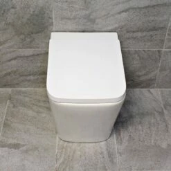 Square Or D-Shaped Rimless Back To Wall Toilet + Soft Close Seat -Comparethebathroom Shop Rose CC Toilet Pan Front