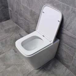 Square Or D-Shaped Rimless Back To Wall Toilet + Soft Close Seat -Comparethebathroom Shop Rose CC Toilet Pan Seat