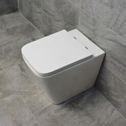 Square Or D-Shaped Rimless Back To Wall Toilet + Soft Close Seat
