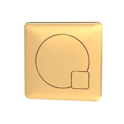 Hudson Reed Contemporary Brushed Brass Dual Flush Plate Toilet Push Button